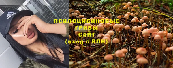 ALPHA-PVP Богородск